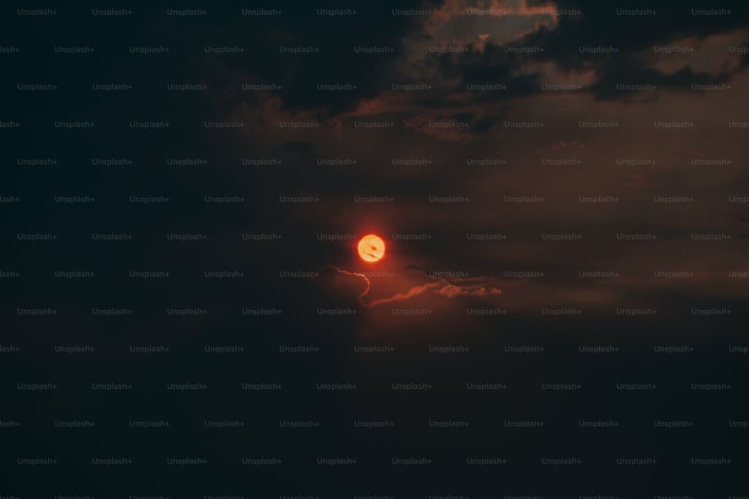 《子夜归》徐凯是干什么的?